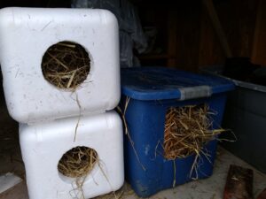 winter-shelter-basic